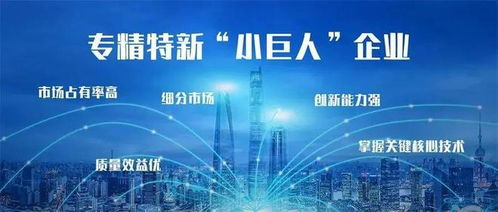 小巨人 企业 3,总量全市第一